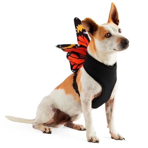 Bootique Other - 🆕 3/for $20 in a BUNDLE Bootique Butterfly Harness Costume